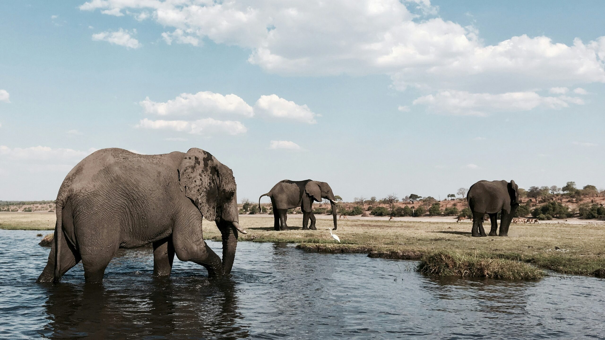 Top 7 Off-Grid Destinations in Southern Africa