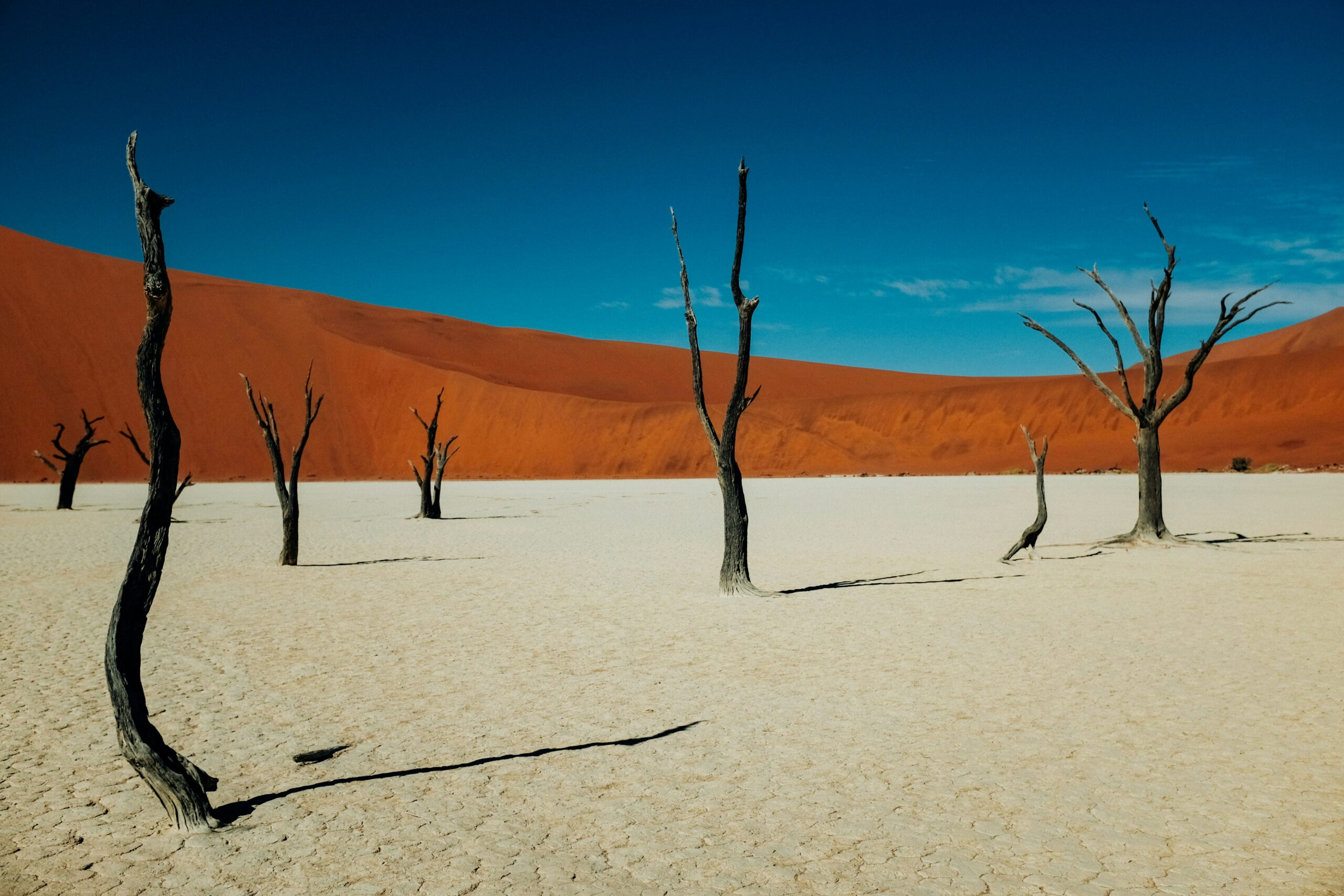 Top 16 Best Places to Overland in Namibia – Ultimate Guide