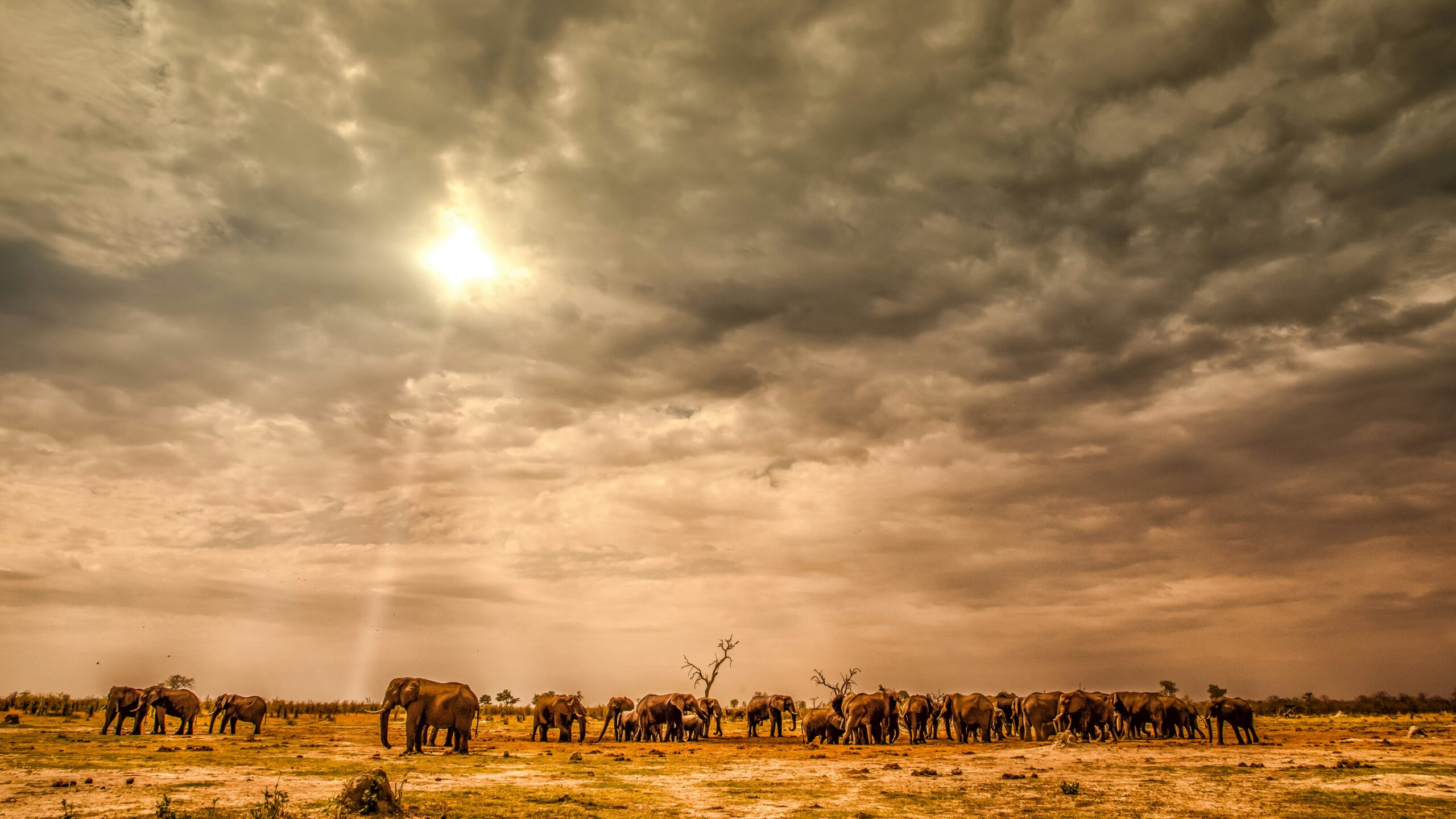 Top 10 Best Places to Overland in Botswana