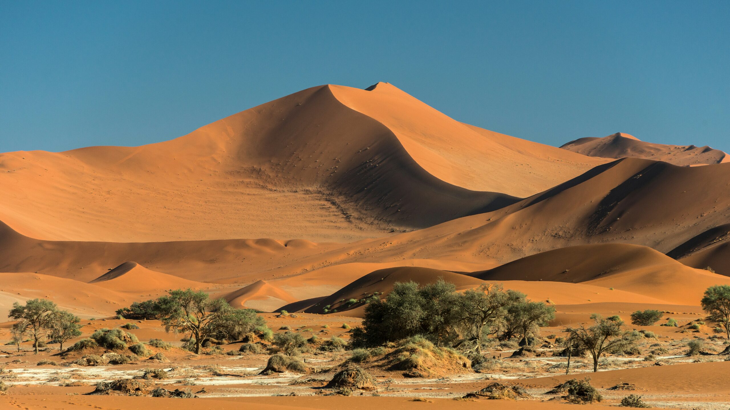 The Ultimate Guide to Off-Grid Adventures in Namibia