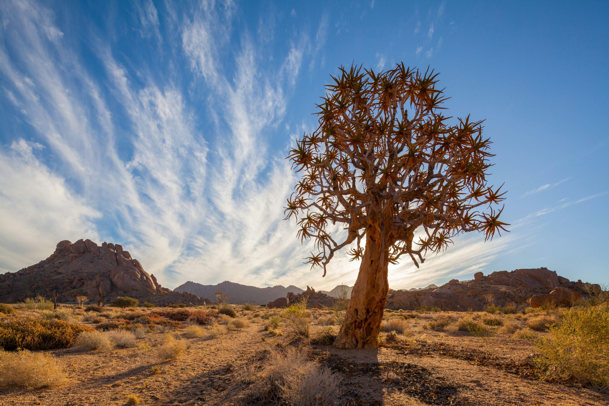 A 7-Day Off-Grid Adventure in the Richtersveld: Untamed Beauty and Rugged Wilderness