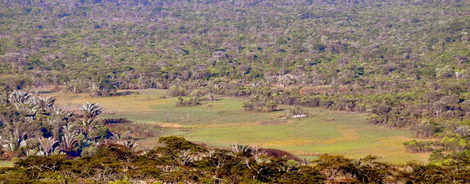Mutambe Akasuba: A Garden of Peace and Spirit in Zambia’s Wilderness